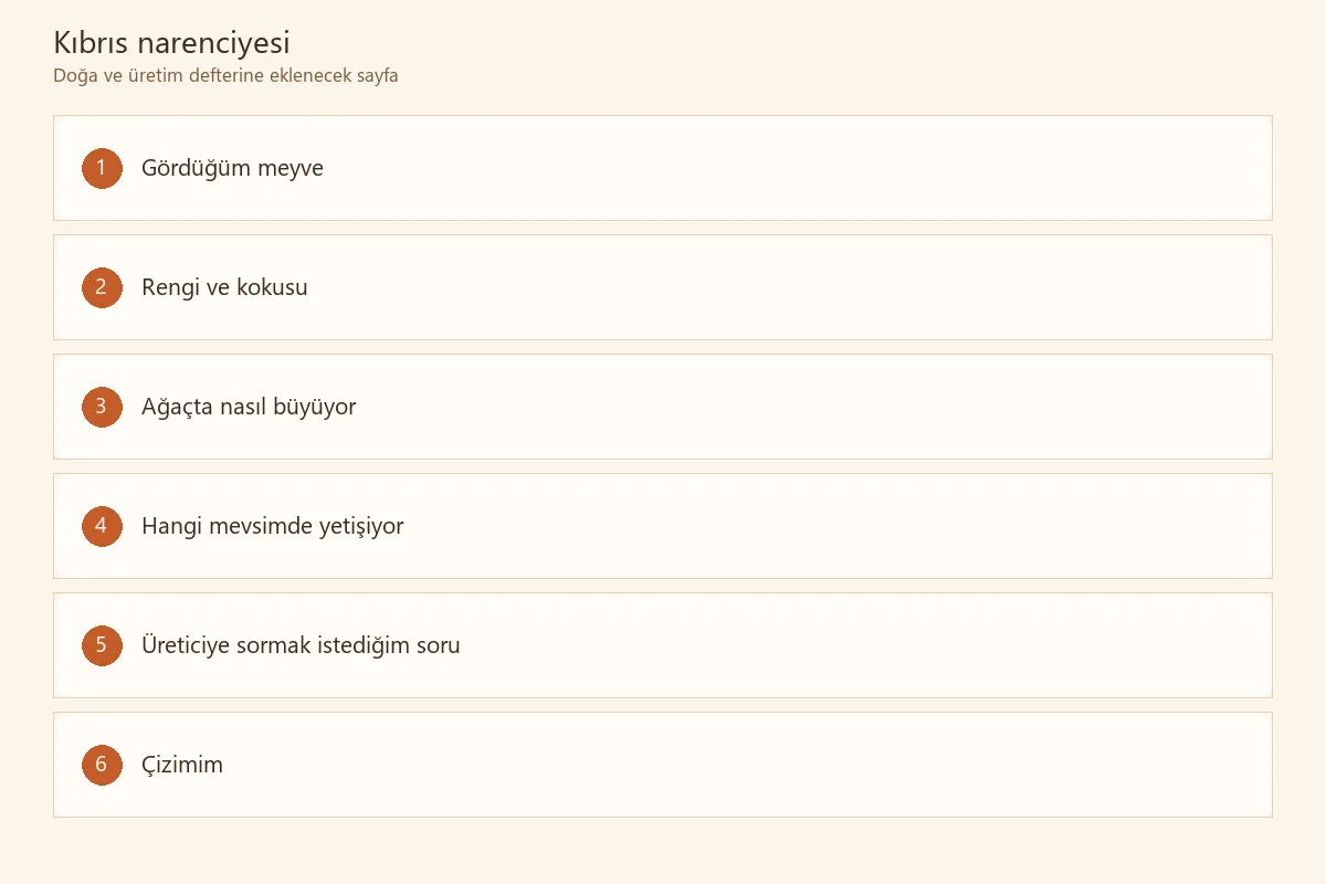 Çocuğun portakal ağacı gözlemlerini kaydettiği doğa defteri
