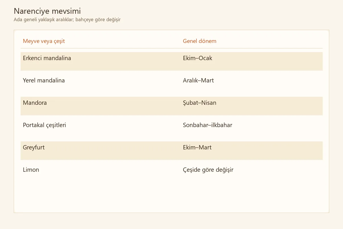 Kıbrıs’ta narenciye çeşitlerinin genel hasat dönemleri