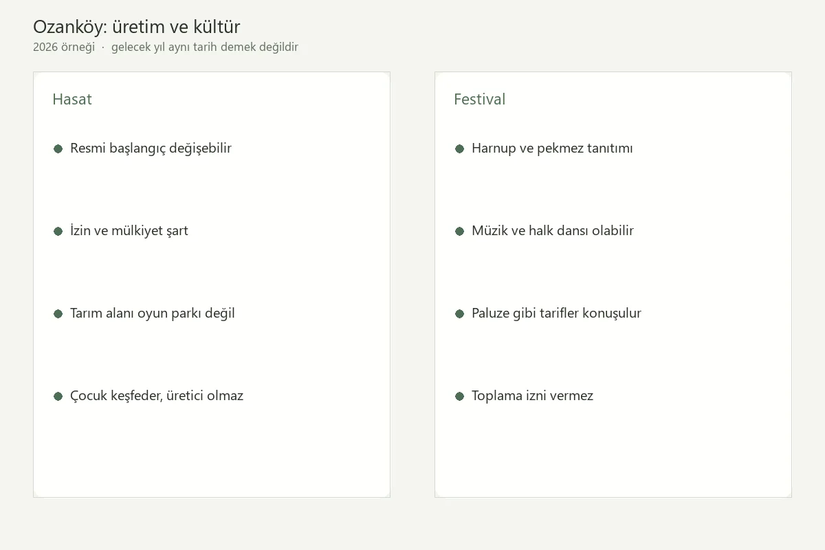 Kıbrıs’ta Çocuklarla Harnubu Keşfetmek: Keçiboynuzundan Pekmeze Aile Rehberi