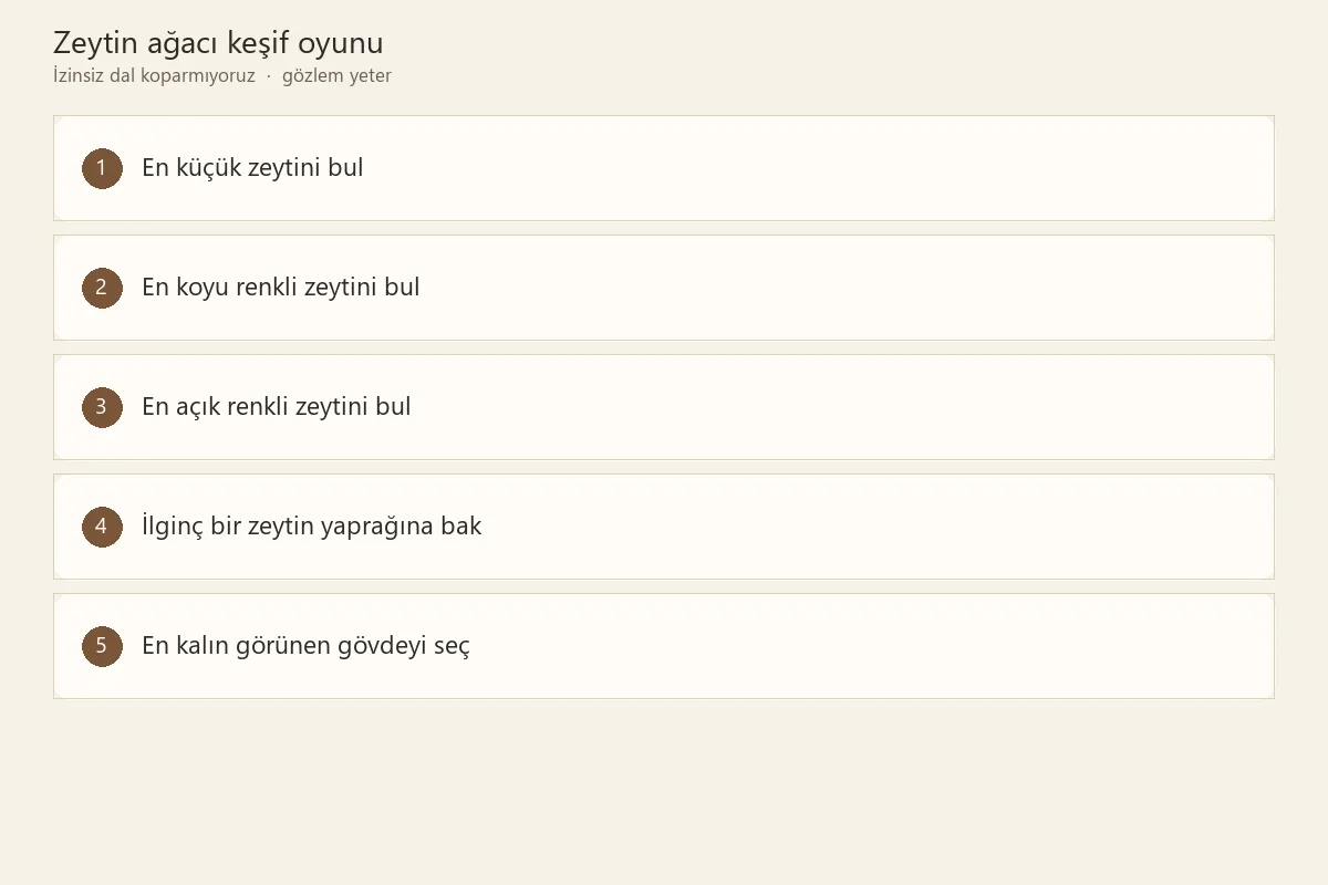 Kıbrıs’ta zeytin ağacının yapraklarını ve meyvelerini inceleyen çocuk