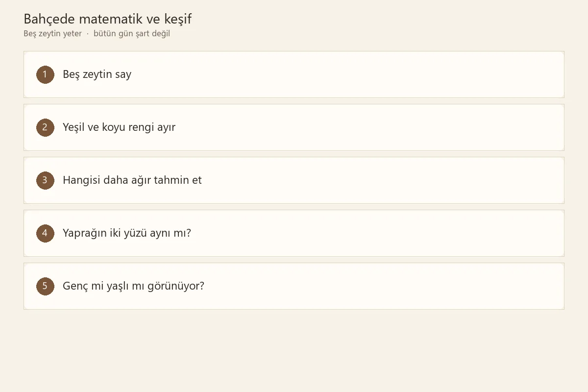 Çocuklarla zeytin sayma renk ayırma ve keşif etkinlikleri