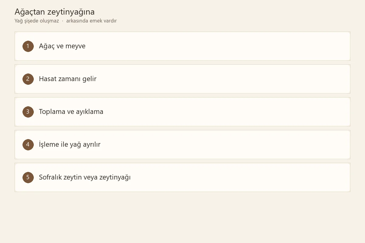 Zeytinin ağaçtan zeytinyağına uzanan üretim süreci